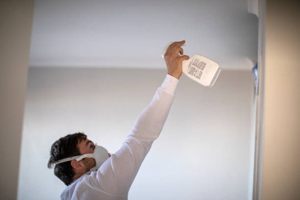 Best Mold Testing  in Los Alamos, NM