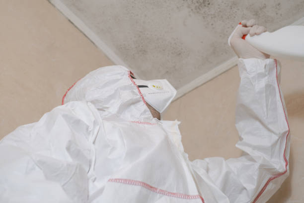 Best Toxic Mold Removal  in Los Alamos, NM