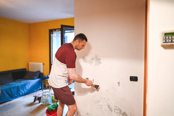 Best Attic Mold Removal  in Los Alamos, NM
