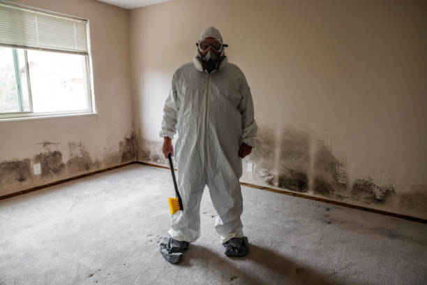 Best Crawl Space Mold Removal  in Los Alamos, NM